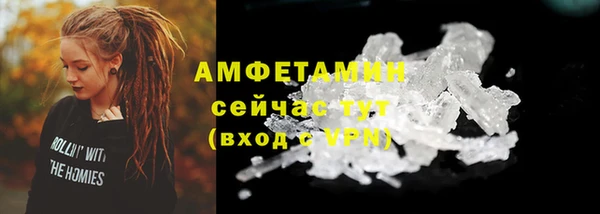 сатива Сосновоборск