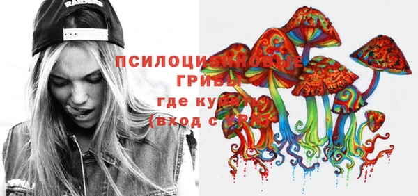 соль курить ск Сосновый Бор