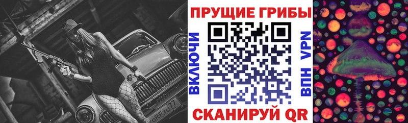 наркота  Углегорск  Псилоцибиновые грибы Magic Shrooms 